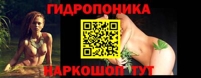 шишки Бийск
