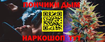 шишки Бийск