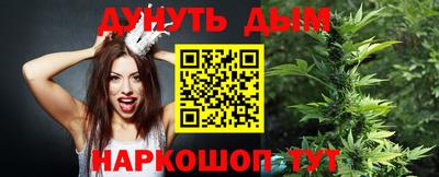 шишки Бийск