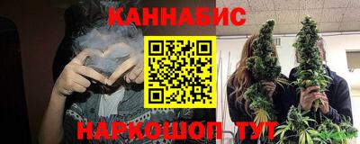 шишки Бийск