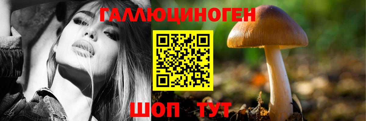Галлюциногенные грибы Magic Shrooms Кизилюрт