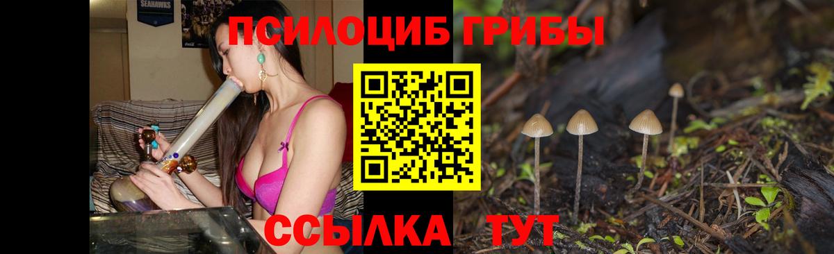 Кизилюрт  Псилоцибиновые грибы мицелий  Вход с VPN 